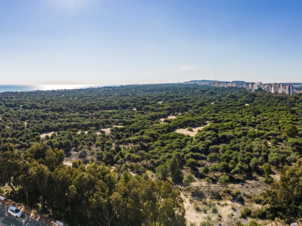 Vista-Panoramica-desde-Terraza-scaled